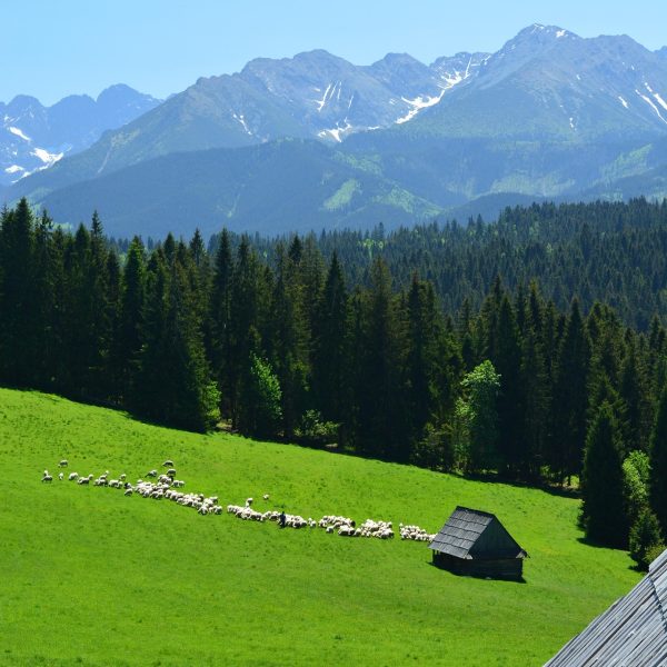 tatry-1889106_1920